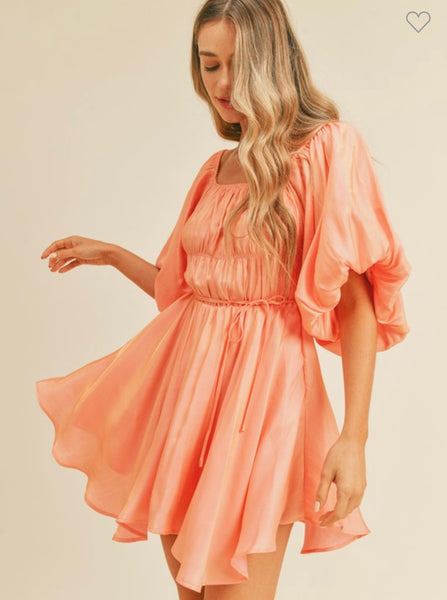 Princess Punch Metallic Dress